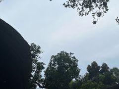 -火炉山森林公园