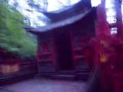 -峡谷浮石林景区