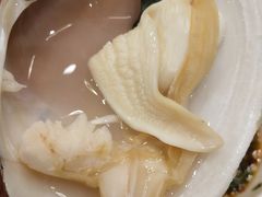 贵妃蚌-青蓬蒸汽海鲜·深圳老字号·团建聚会(壹方城店)