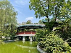 -迎泽公园