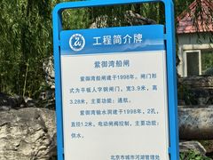 -皇家御河游(紫御湾码头)
