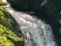 -鹿院坪生态旅游景区
