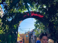 -The Grounds of Alexandria