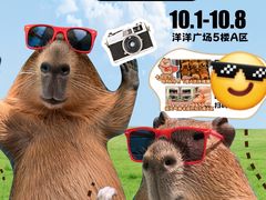 -洋洋广场(南街店)