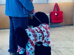 -阮记烧烤(同庆阁社区店)