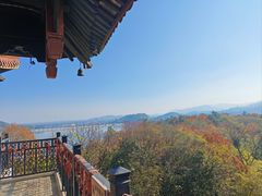 -天乐农家鱼头王(天目湖店)