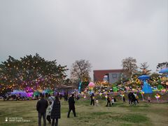 -国际非物质文化遗产博览园