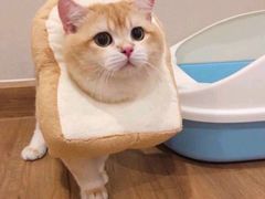 -胖哥俩肉蟹煲(福州仓山爱琴海店)