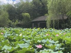 -西院1号(龙井店)