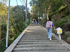 -大罗山风景区