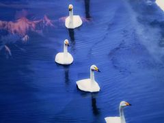 -罗红摄影艺术馆