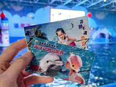 -蓬莱欧乐堡海洋极地世界
