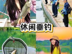-上海山野camping·户外天幕烧烤·团建拓展营地