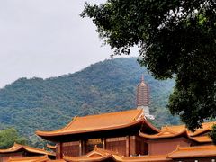 -深圳仙湖植物园
