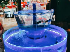 -佬麻雀·剁椒鱼头(京基KK One店)