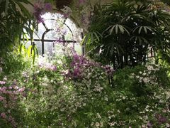 -斐兹洛伊花园