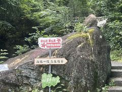 -山沟沟景区