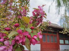 -海棠花溪(元大都城垣遗址公园)