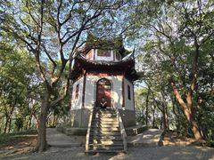 -上海佘山国家森林公园天马山园