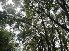 -森林公园(尖草坪区)