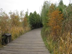 -溱湖国家湿地公园