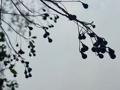 -长广溪湿地公园
