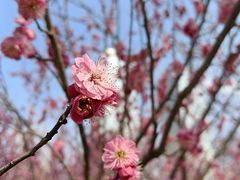 -滨湖塘西河公园
