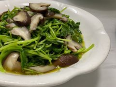 小炒鸡毛菜-翠茗农庄土菜馆(天目湖店)