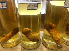 -鲜菌江湖正宗野生菌火锅