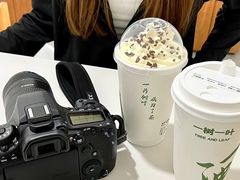 -一树一叶·福建茶档(石鼓路店)