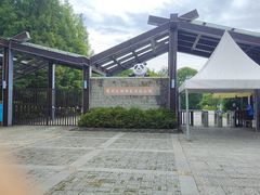 -苏州太湖国家湿地公园