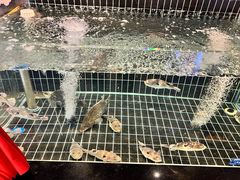 -苏淮景·苏闽融创菜·海鲜(原空港井河轩店)