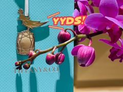 -Tiffany & Co.(银座本店)