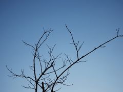-白石龙音乐公园
