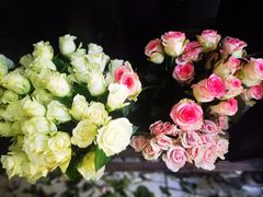 -雪蔓之鲜花气球派对(家佳源时代中心店)
