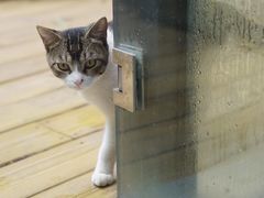 -厦门良筑精品酒店(厦门中山路店)