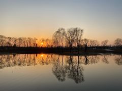 -大兴滨河森林公园