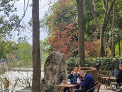 -鸡毛店·川菜(双楠店)