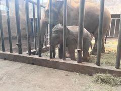 -石家庄市动物园