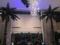-常州环球恐龙城维景国际大酒店