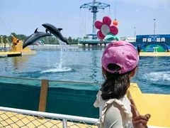 -秦皇岛乐岛海洋王国