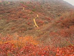 -水峪民俗村