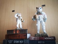 -飞行喵MR PILOT|猫舍·猫咖(静安大融城店)