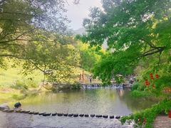 -广州市石门国家森林公园