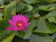 -三亚南山文化旅游区