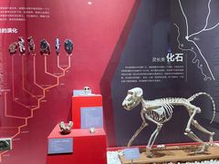 -国家自然博物馆