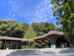 -东明山森林公园
