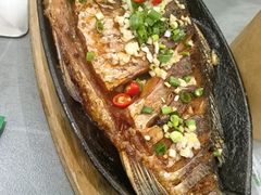 -老黑板筋(顺义总店)