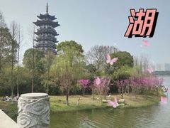 -洋湖国家湿地公园