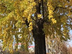 -源深体育中心-停车场